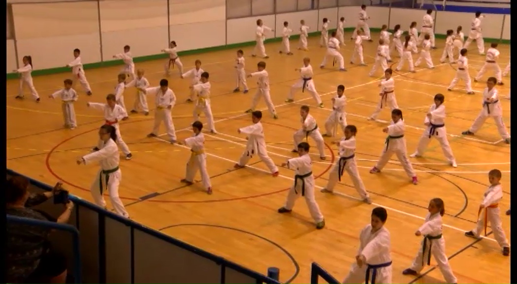 Exhibición de la Escuela Municipal de Taekwondo
